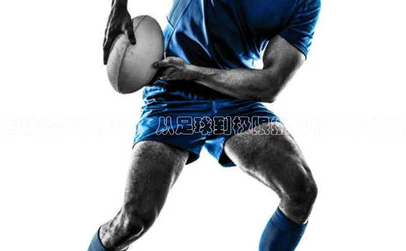 欧陆注册登录入口2024赛富乐斯