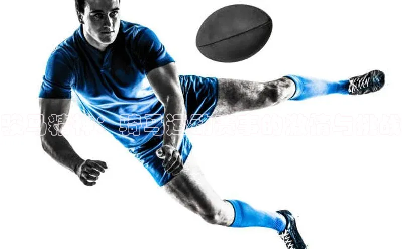 欧陆娱乐登录入口官网