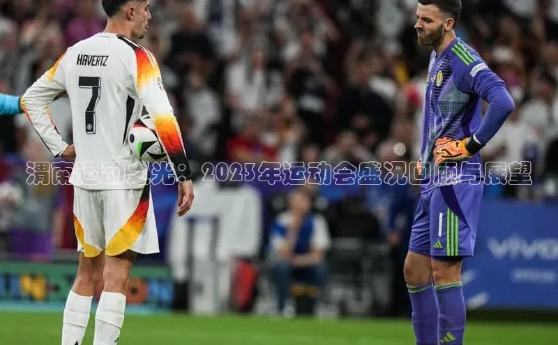 欧陆注册登录入口2024